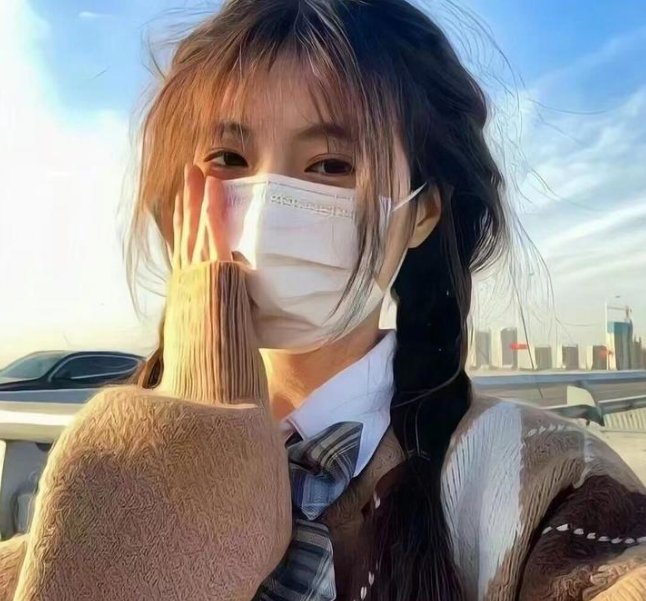 陆昭昭的刺客笔记