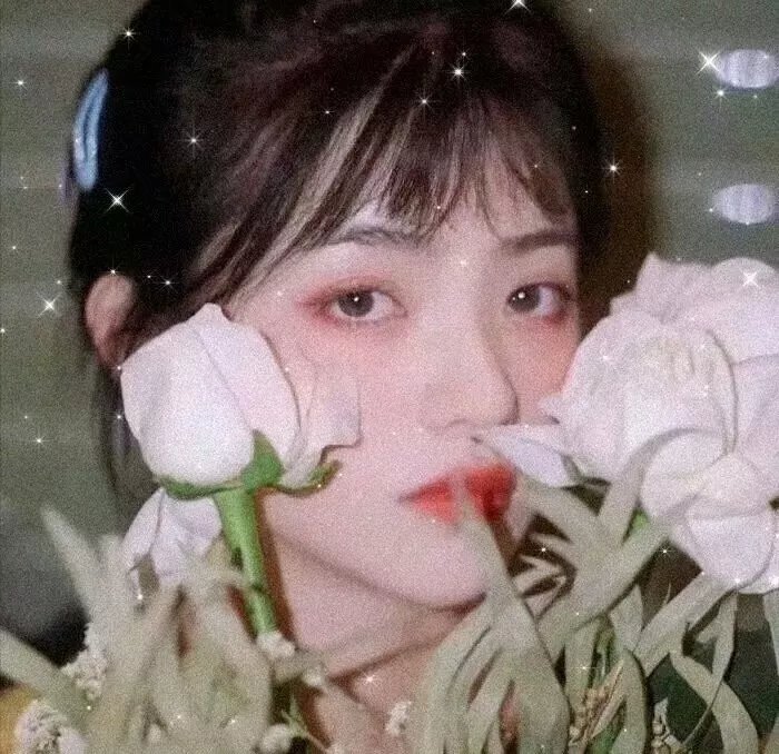 孩子的领地